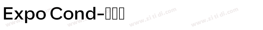 Expo Cond字体转换
